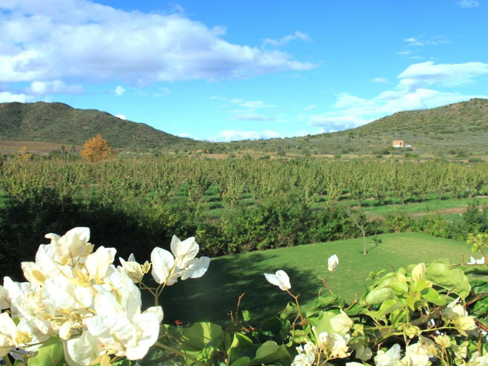 The Barn On 62 - Cottages มอนตากู ภายนอก รูปภาพ